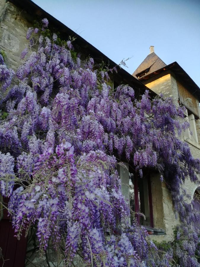 Chateau St.Gaultier Saint-Gaultier Bagian luar foto