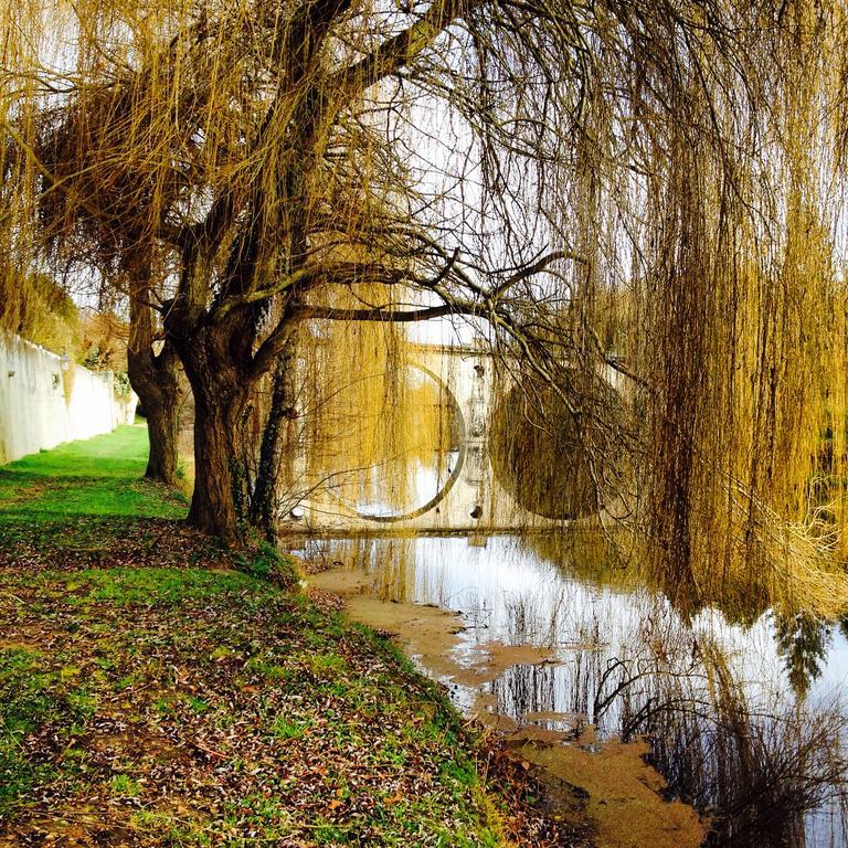 Chateau St.Gaultier Saint-Gaultier Bagian luar foto