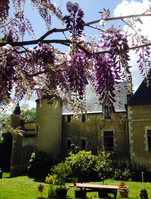 Chateau St.Gaultier Saint-Gaultier Bagian luar foto