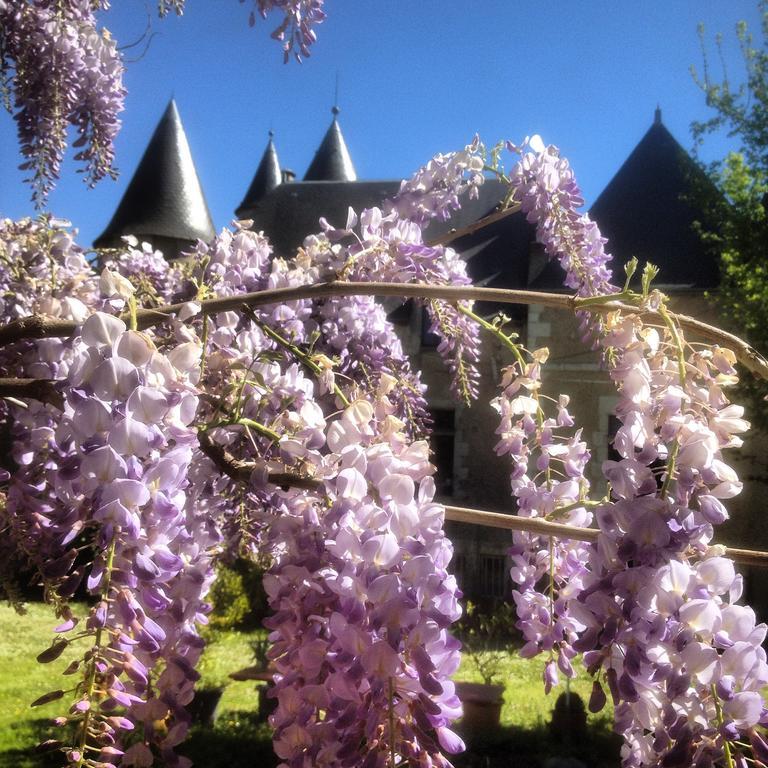 Chateau St.Gaultier Saint-Gaultier Bagian luar foto